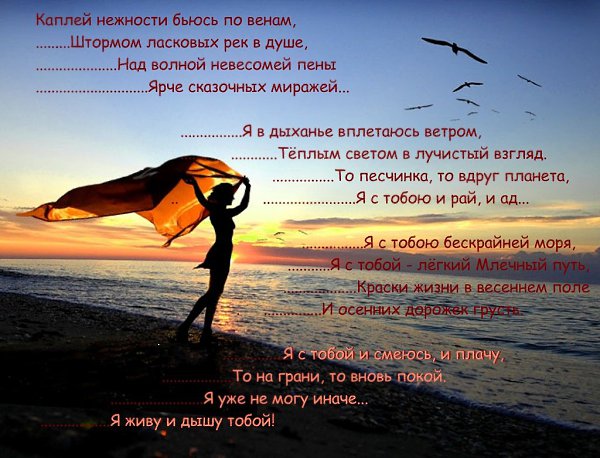  - 13  2015  06:49