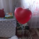 ���� C�������, ���������� ����� - ��������� 30 ������ 2016 � ������ ������ʻ