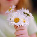  ,  -  9  2015     ....  ....