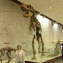 ������. ������������������ ����� �� ������� ���� ����������