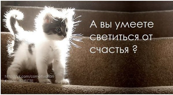 �������� - 16 ������� 2016 � 19:40