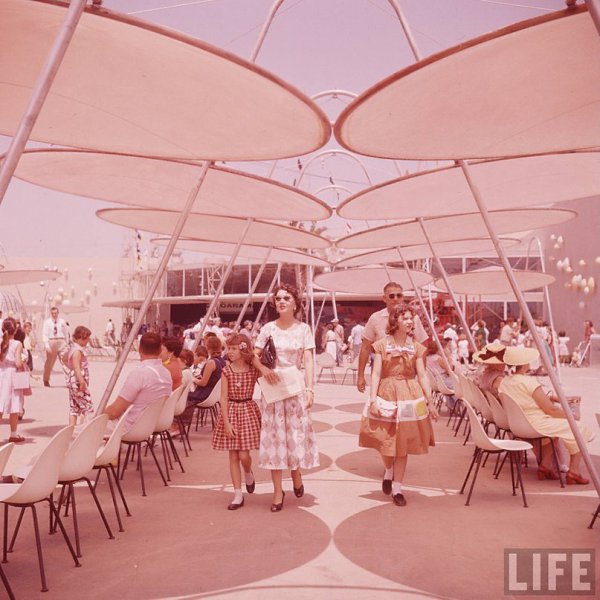  . . , 1955
