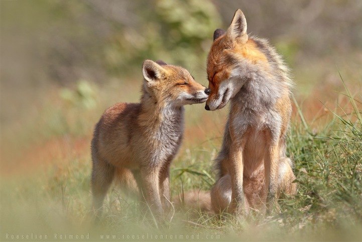 Roeselien Raimond. - 9