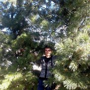 �������, 28 ���, �������������