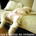 ���� ���������, ����������� - ��������� 22 ������� 2016 � ������ ���� ����������