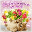 ���� �����, ����� - ��������� 20 ������ 2015 � ������ �������� ��������