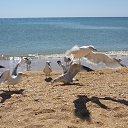 ���� �������, ���������, 54 ���� - ��������� 18 ������� 2015 � ������ ���� ����������