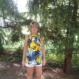 ���� �����, �����������, 56 ��� - ��������� 6 ������ 2015