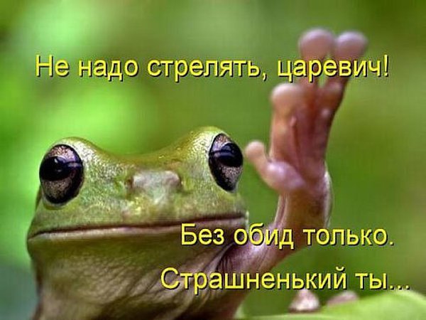 ***Victoria Viktorovna*** - 6  2016  11:02