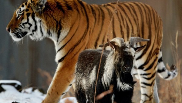 ������������� ��������� ����� � ����� ��������� � ������ �������, ����� ���� ��� �������� �� ���� ... - 2