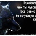 ���� �����, ���� - ��������� 14 ������ 2015 � ������ ������ ��������