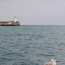  , , 60  -  25  2015   24.10.15.  ,.