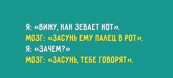 Wow - 8 декабря 2015 в 10:56 - 5