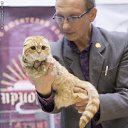 ���� Cola, �����-���������, 44 ���� - ��������� 30 �������� 2015 � ������ ������ ��������