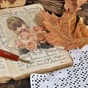 ���� �������, ������, 41 ��� - ��������� 8 ����� 2016 � ������ ���� ����������