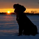 ���� ���, �������, 41 ��� - ��������� 27 ������� 2016 � ������ �����