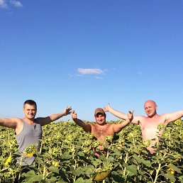 ���� ������, ������, 43 ���� - ��������� 3 ������ 2016