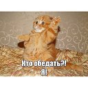 ���� ����, �����, 57 ��� - ��������� 6 ������� 2016 � ������ ���� ����������