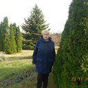 ����,�� ���������� �� ������� ������ 2015 ���