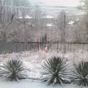 ���� �������, ��������� - ��������� 26 ������ 2016 � ������ ���� ����������