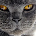 ���� N, ��������� - ��������� 19 ������ 2016 � ������ ���� ����������