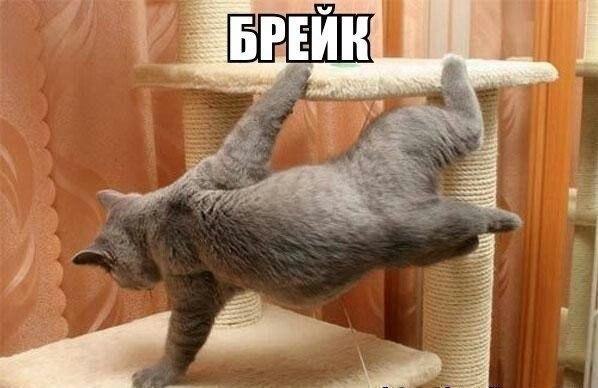   - 22  2015  08:02 - 3