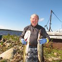 ���� ���� ����, �����-���������, 74 ���� - ��������� 12 ������ 2015