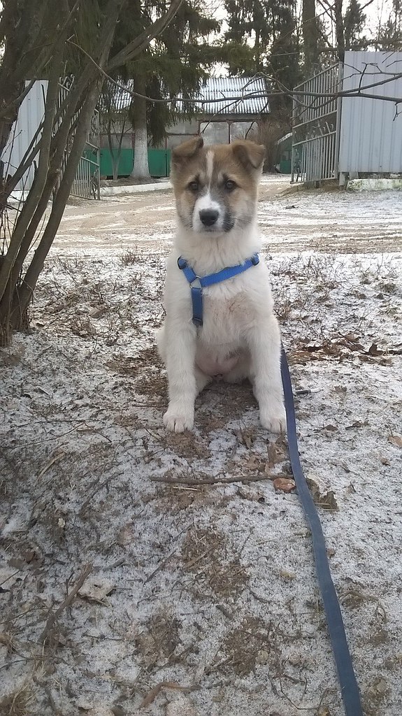 , ,   !!!          ... - 5