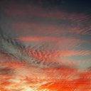 ���� �����, �����, 64 ���� - ��������� 12 ������� 2015 � ������ �"��������" �������� (1.10.2015)�