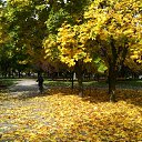 ���� ��������, ������� - ��������� 24 ������� 2015 � ������ ���� ����������