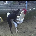 ���� �������, ����� - ��������� 24 ������ 2015 � ������ ���� ����������