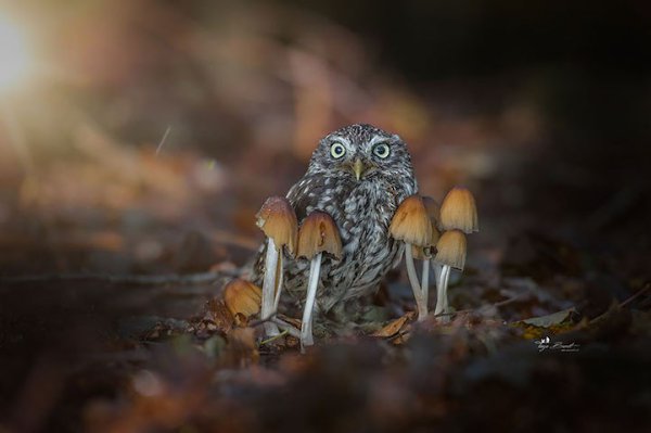  . Tanja Brandt - 6