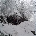 ���� �������, ������������, 37 ��� - ��������� 17 ������� 2015 � ������ ���� ����������