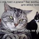 ���� Aleksandr, �������������, 64 ���� - ��������� 3 ������ 2016