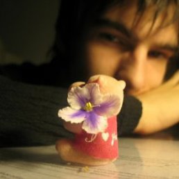 ����, ������, 39 ���