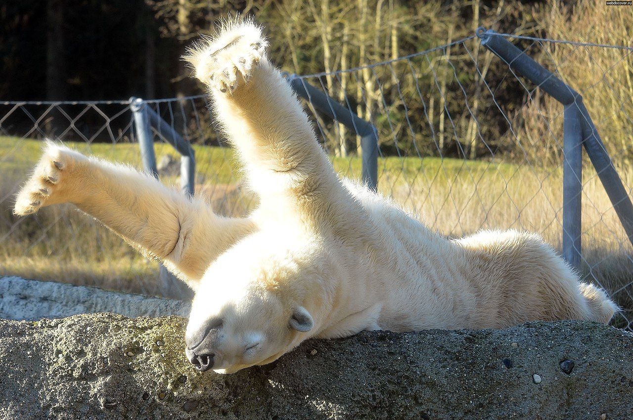  ! - 28  2016  19:03 - 4