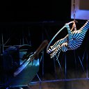 ���� �����, ������ - ��������� 6 ������ 2016 � ������ ������ ������.��� ����� �������.�