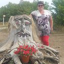 ���� �������, ����, 51 ��� - ��������� 15 ������� 2015 � ������ ���� ����������