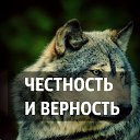���� �����, ������, 38 ��� - ��������� 27 ������� 2015 � ������ ������ ��������
