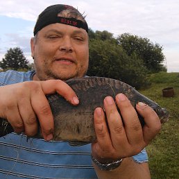 �������, ������, 51 ���