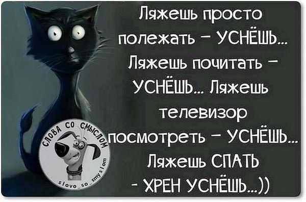 ����� - 25 ������ 2015 � 22:55