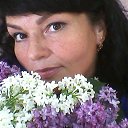 ���� �����, ����-�����������, 55 ��� - ��������� 9 ������� 2015 � ������ ���� ����������