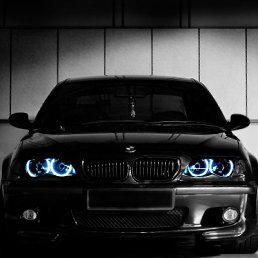 �����, ��������, 41 ���