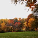 ���� �����, �����, 64 ���� - ��������� 9 ������ 2015 � ������ ��������� ����. 25.10.2015�