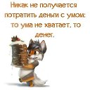 ���� O L K A, ����������� - ��������� 1 ������� 2015 � ������ ������ ��������