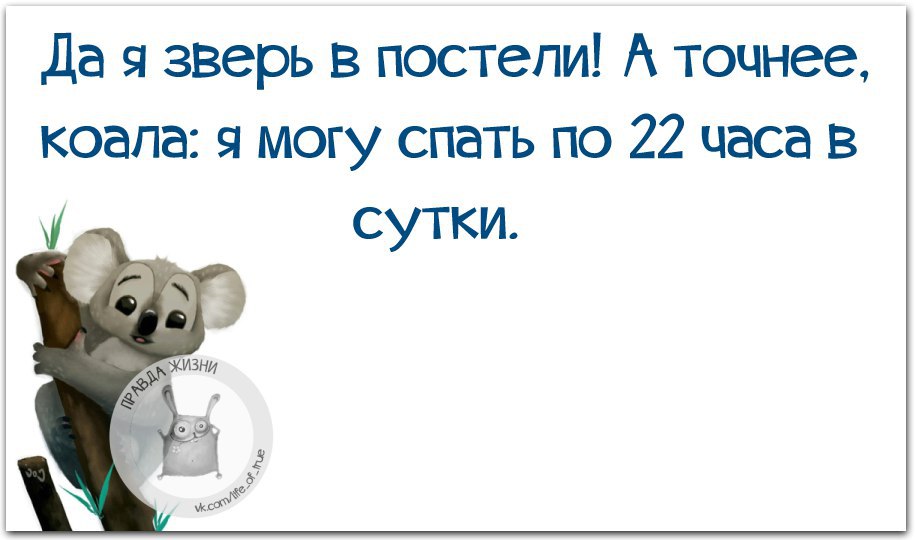   - 11  2015  16:13
