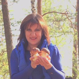 ���������, �����-���������, 46 ���