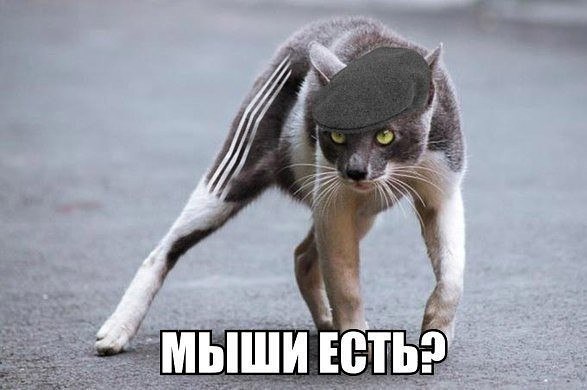  - 24  2016  12:41