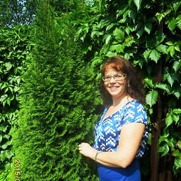 �����, ����, 72 ����