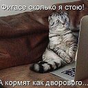 ���� ���������, �����������, 38 ��� - ��������� 28 ������ 2015